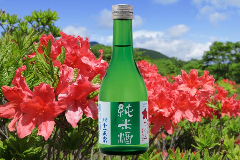 純米酒つつじ300ml