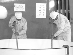 タンクに蒸米を入れ櫂入れ（蒸米・水・麹を均等に混ぜ合わせます）