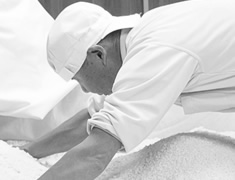 出麹風景～約50時間かけて麹米が出来上がりました