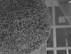 酒林（杉玉）新酒ができました