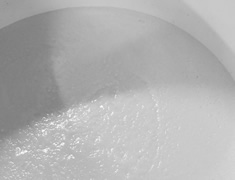 発酵中のもろみ