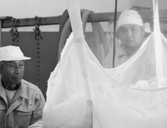 蒸し上がった米